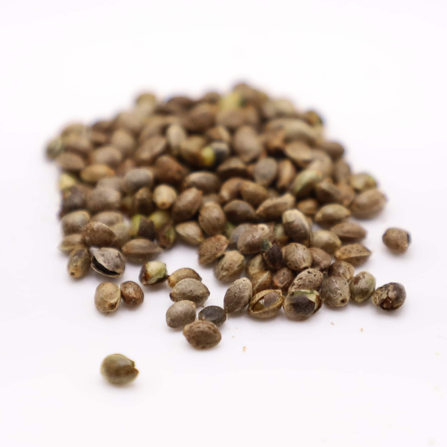 Featured image for “Finola Grain/Fiber Hemp Seeds”