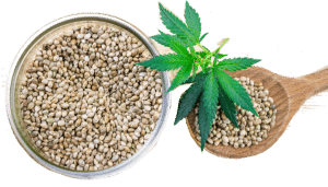 Ag Marvels Buy Hemp and CBD Seeds in South Africa